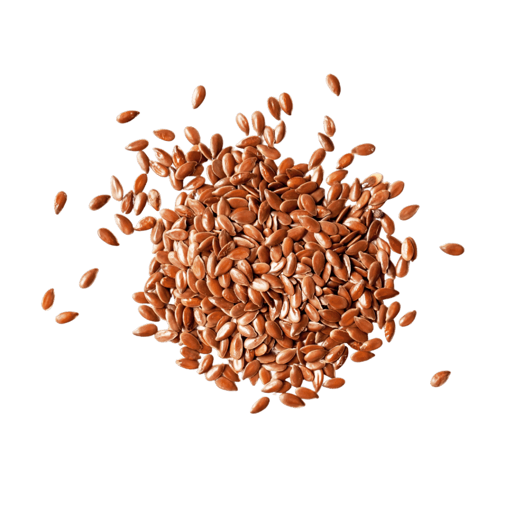 Bio laneno seme 1000 g
