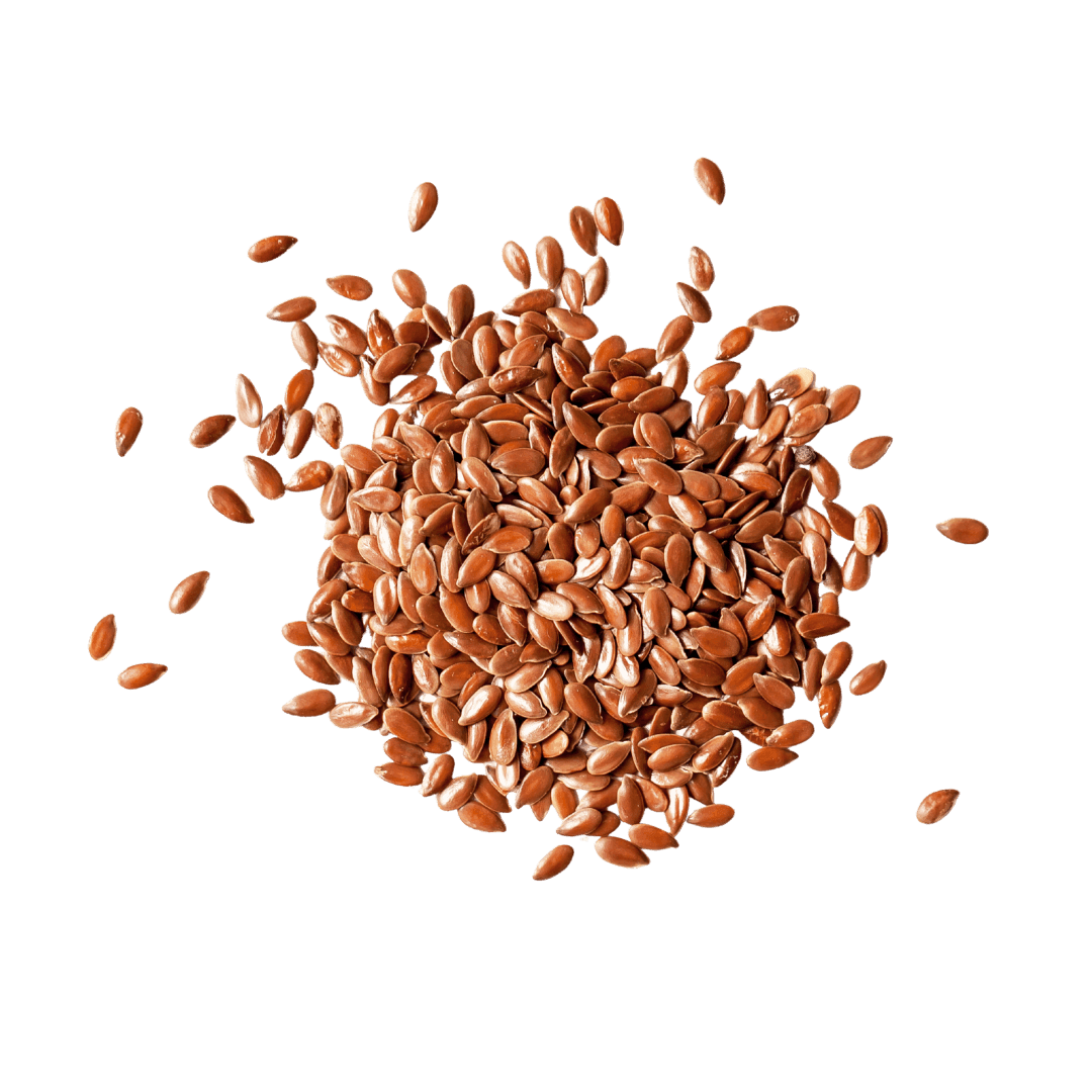 Bio laneno seme 1000 g